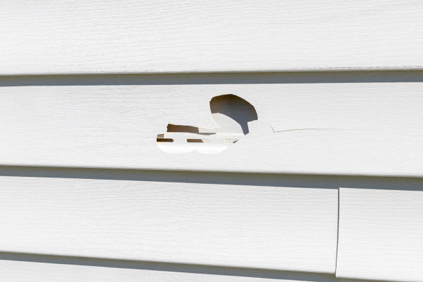 Best Composite Siding  in Berry Hill, TN